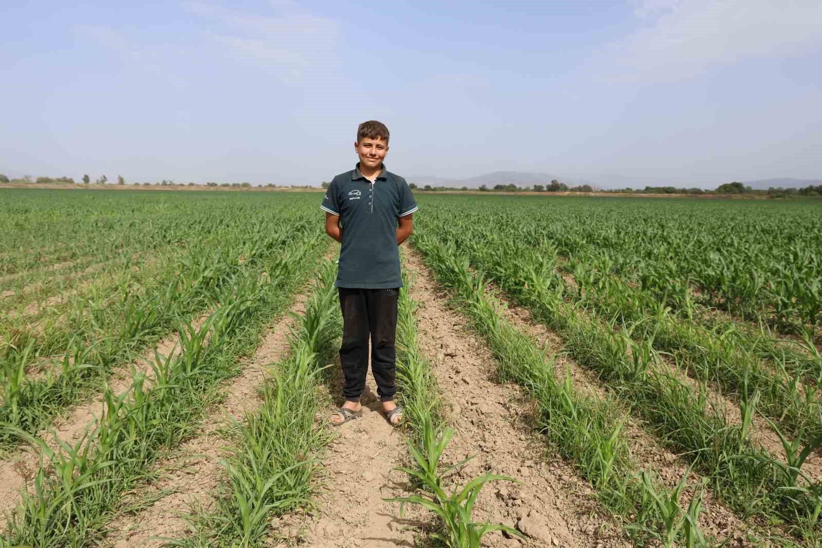 14 yaşındaki ortaokul öğrencisi Muhammet Efe tek başına 300 dönüm arazide üretim yapıyor
