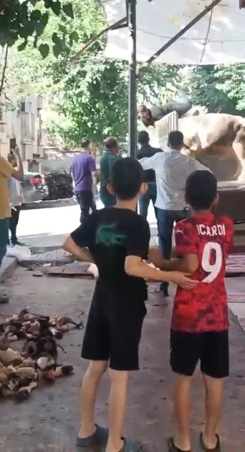 Kızgın boğa kasaba hayatının kabusunu yaşattı