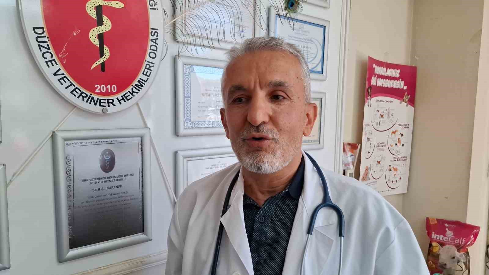 Kurban bayramı öncesi haraketlilik sürüyor