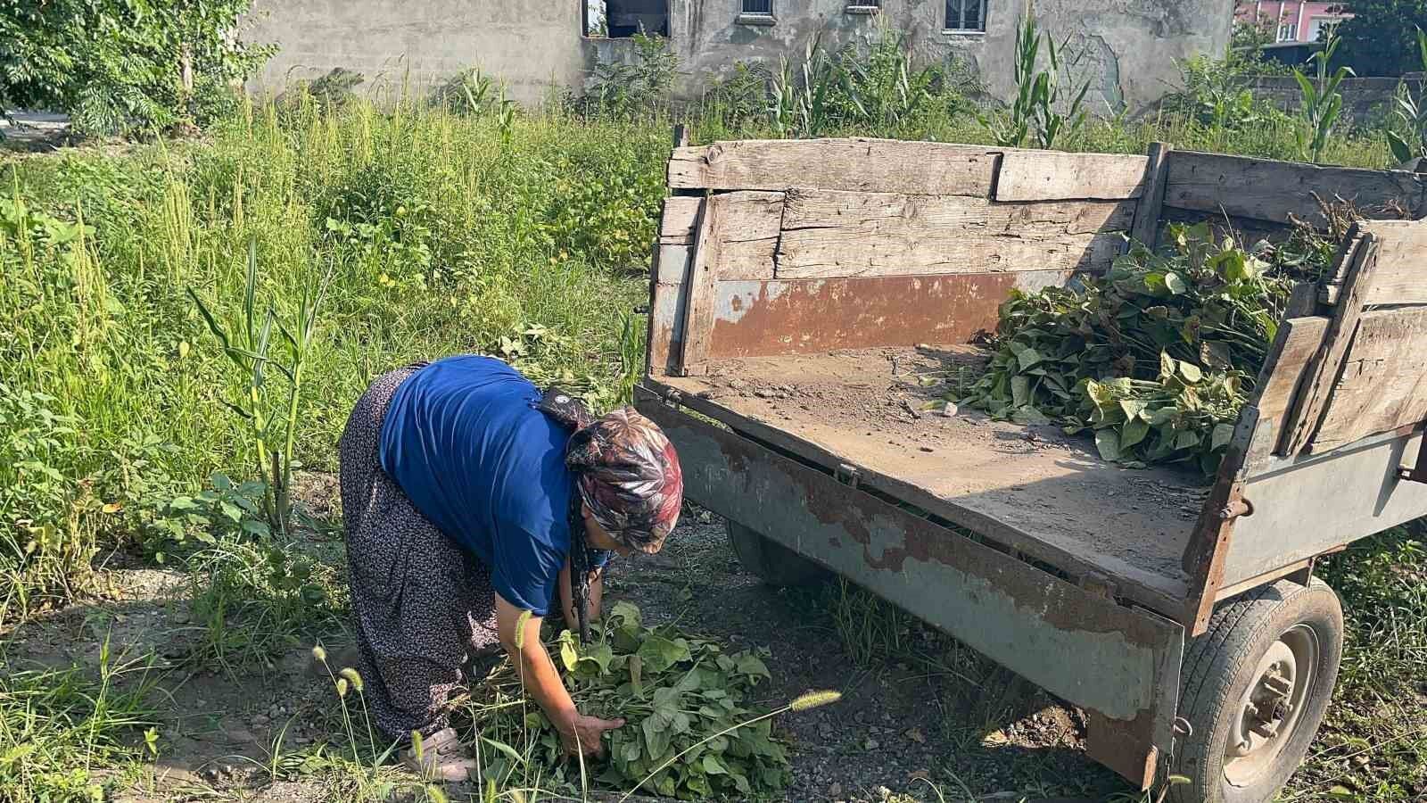 Eşinin yerine girdiği seçimde ilçenin ilk kadın muhtarı oldu