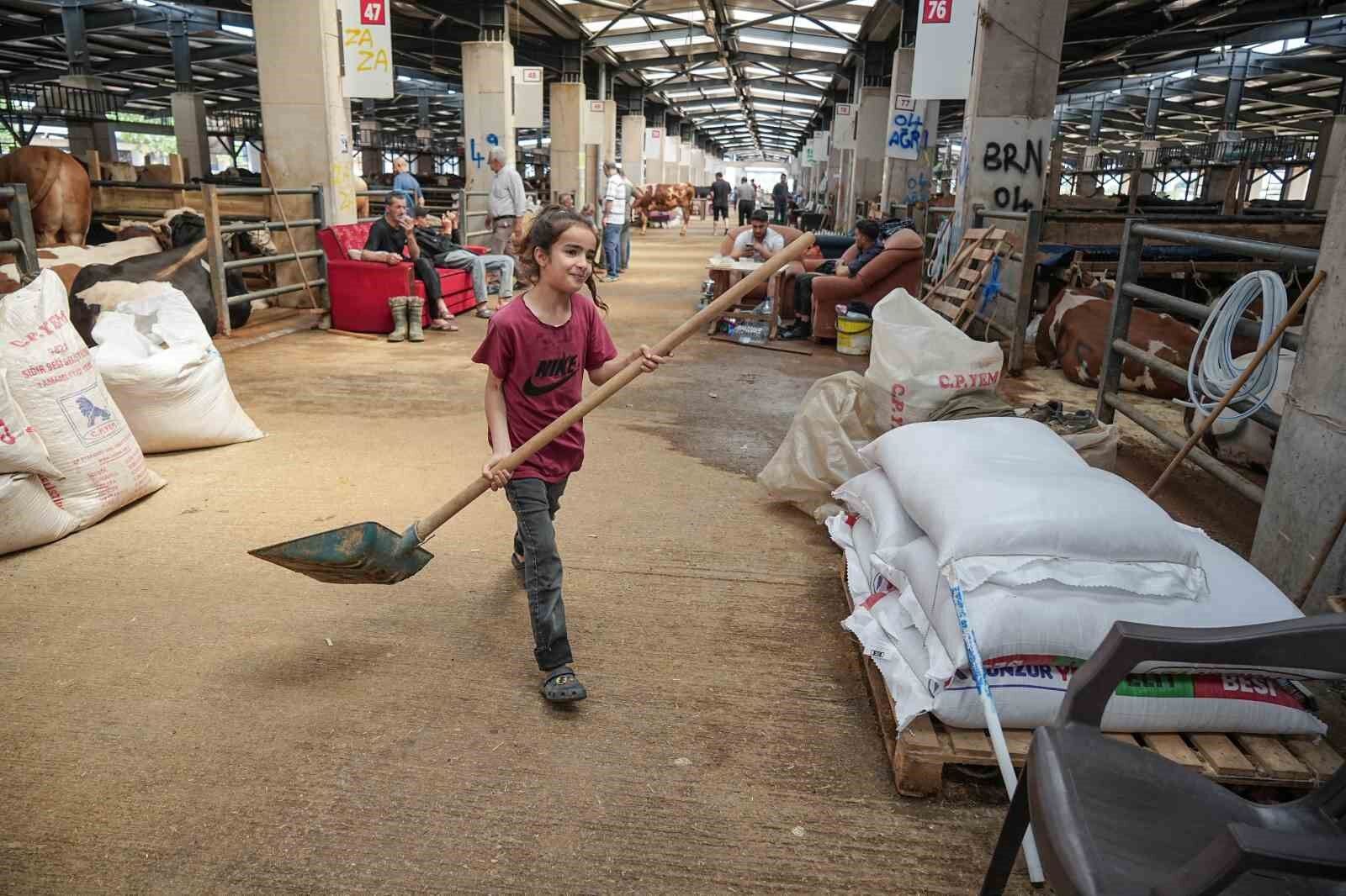 8 yaşındaki Ecrin hayvan pazarının en küçük satıcısı