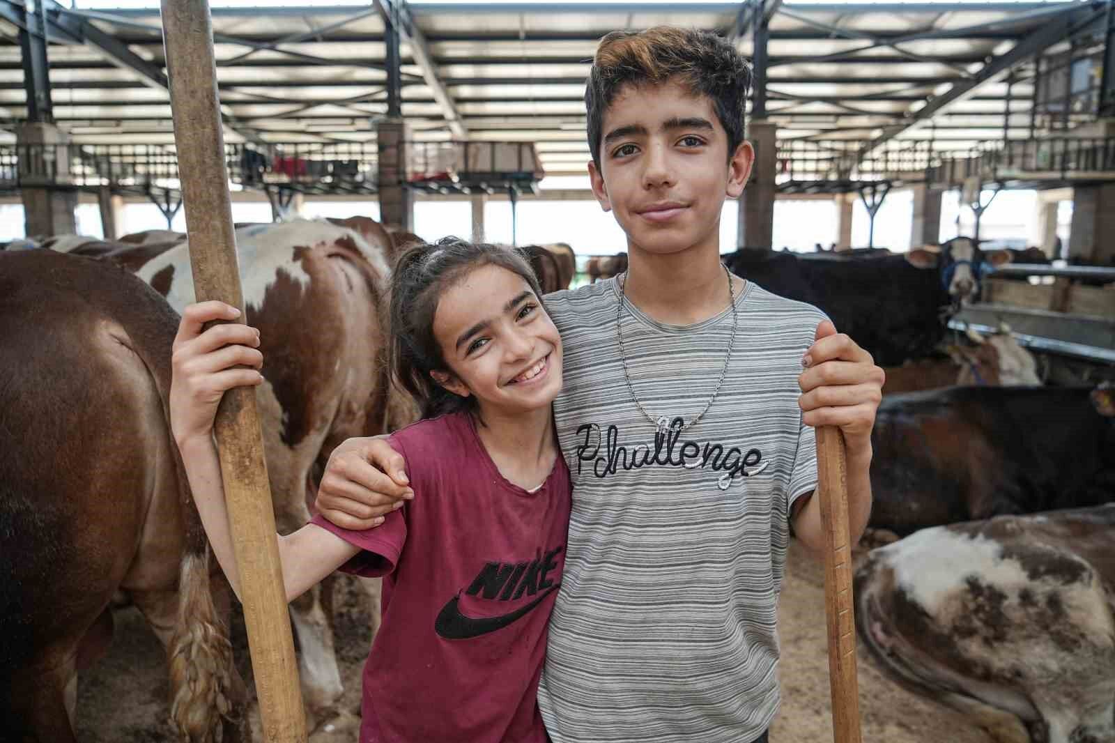 8 yaşındaki Ecrin hayvan pazarının en küçük satıcısı