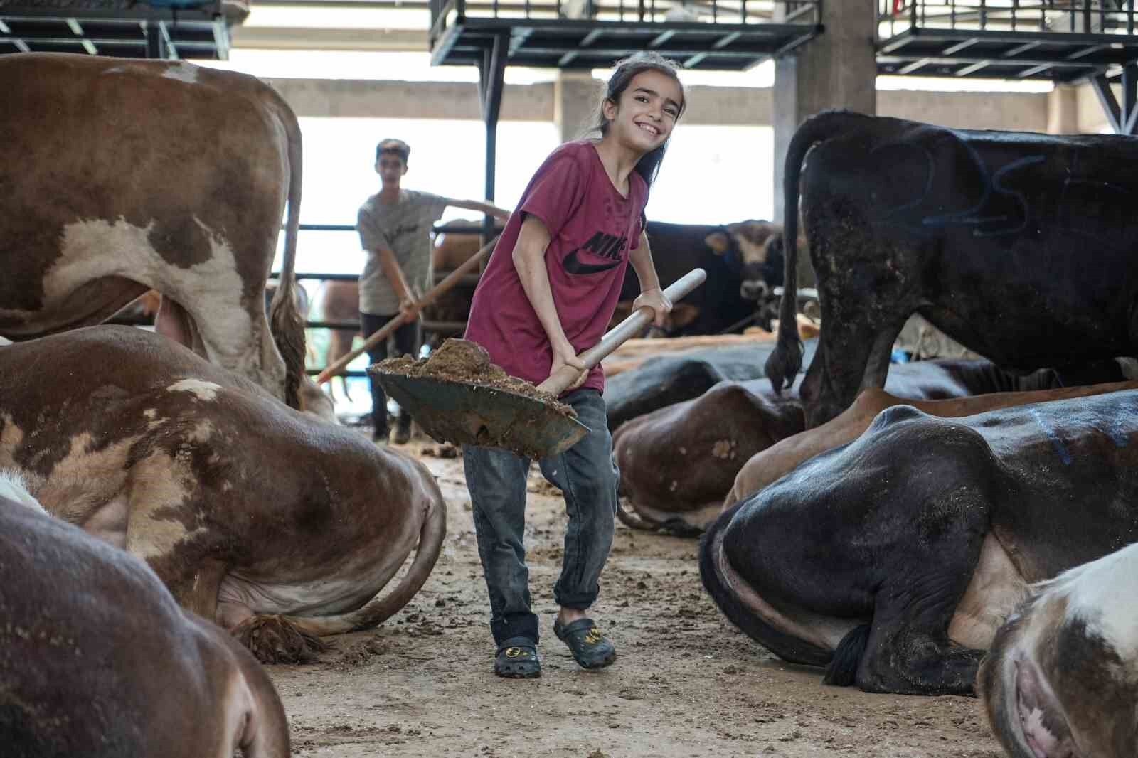 8 yaşındaki Ecrin hayvan pazarının en küçük satıcısı