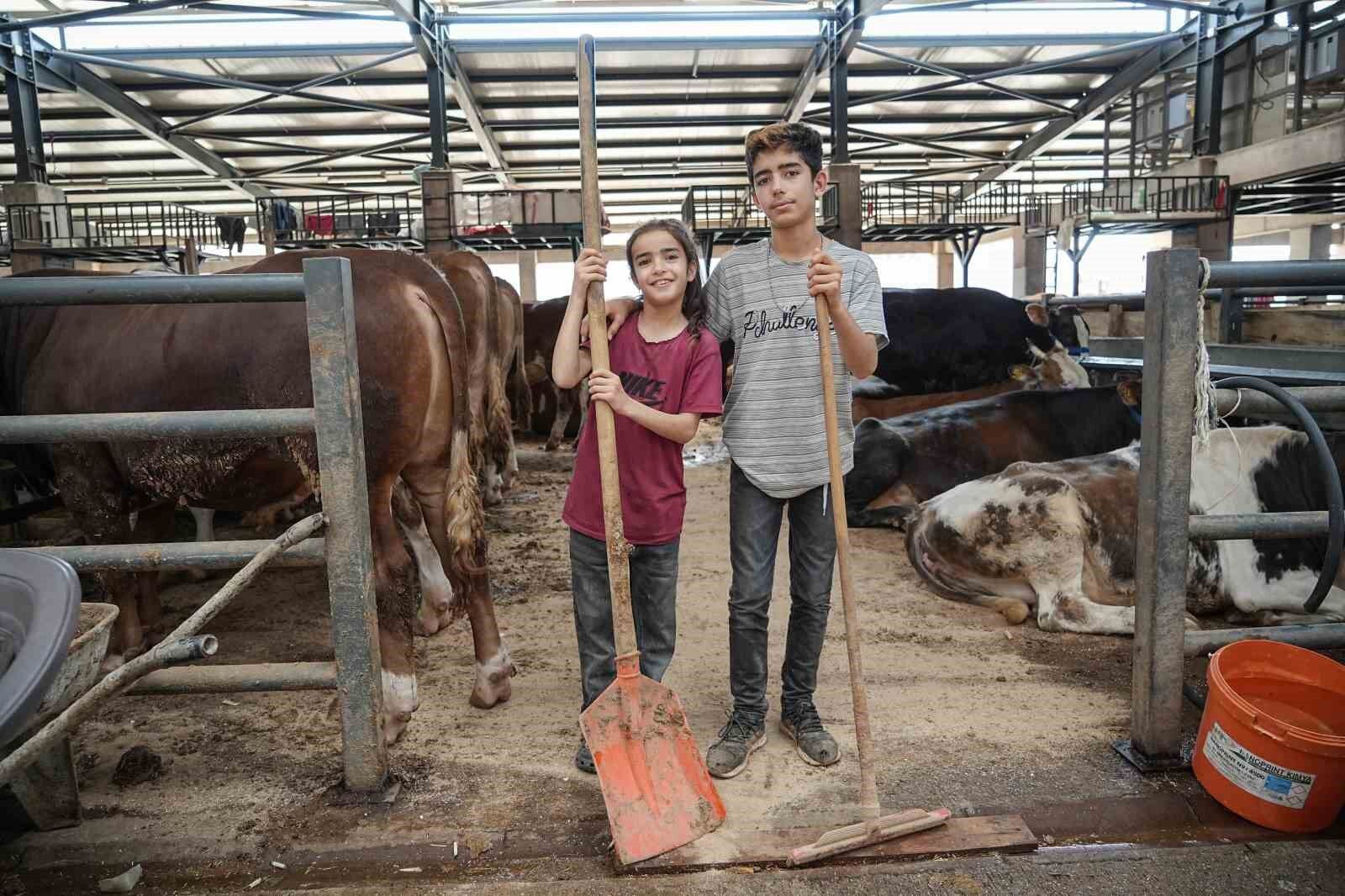 8 yaşındaki Ecrin hayvan pazarının en küçük satıcısı