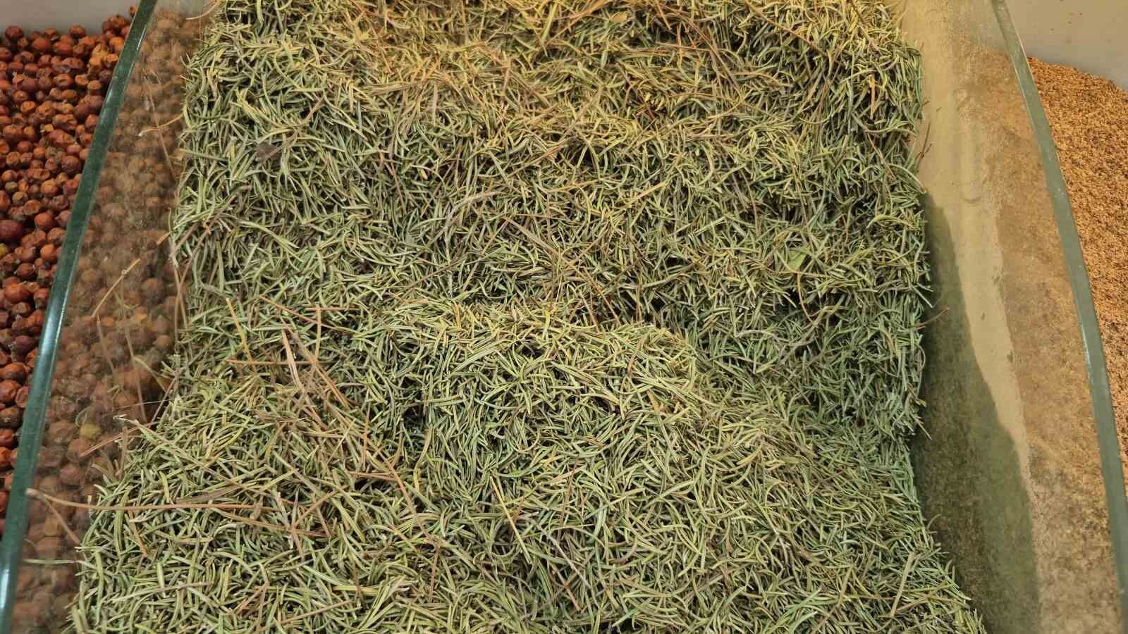 Zayıflamak için canınızdan olmayın