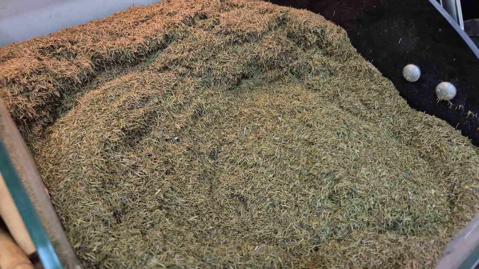 Zayıflamak için canınızdan olmayın