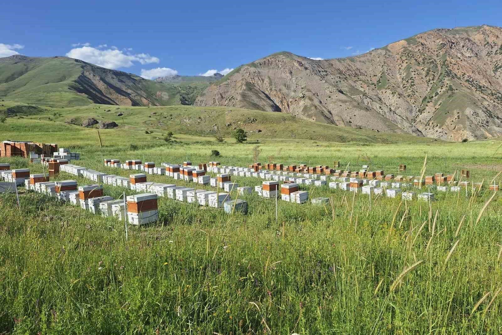 Hakkâri’de kırsala 38 milyon TL hibe desteği