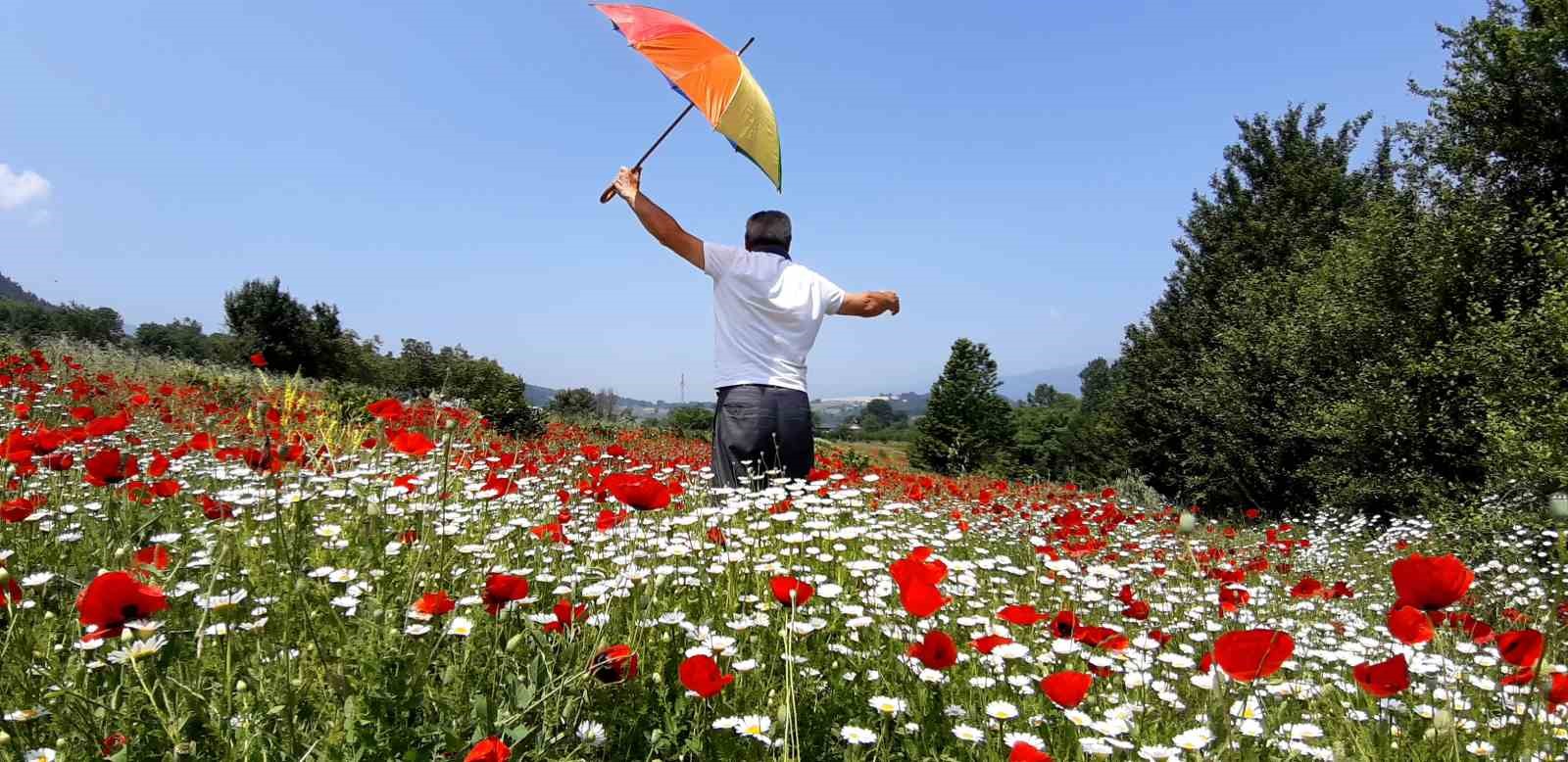 Gelincik ve papatya tarlası fotoğraf tutkunlarına görsel şölen sunuyor