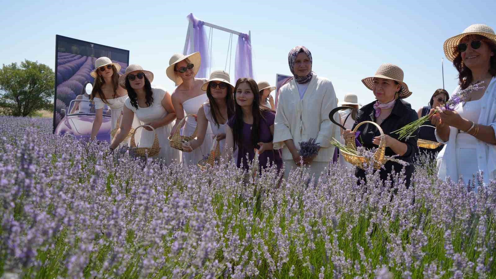 Lavanta tarlalarında mor bir şölen: Festival hasatla başladı, koku atölyeleri mest etti