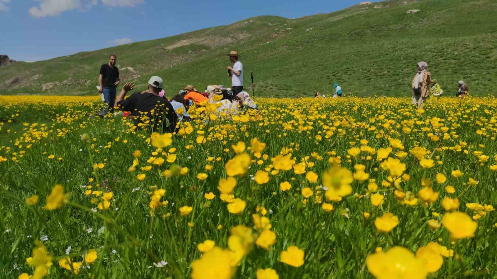 Van’daki doğa harikası kanyon keşfedilmeyi bekliyor