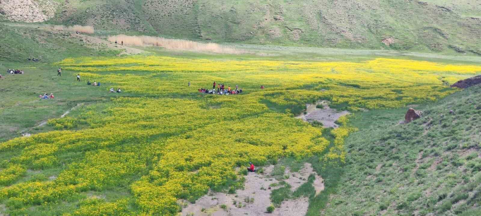 Van’daki doğa harikası kanyon keşfedilmeyi bekliyor