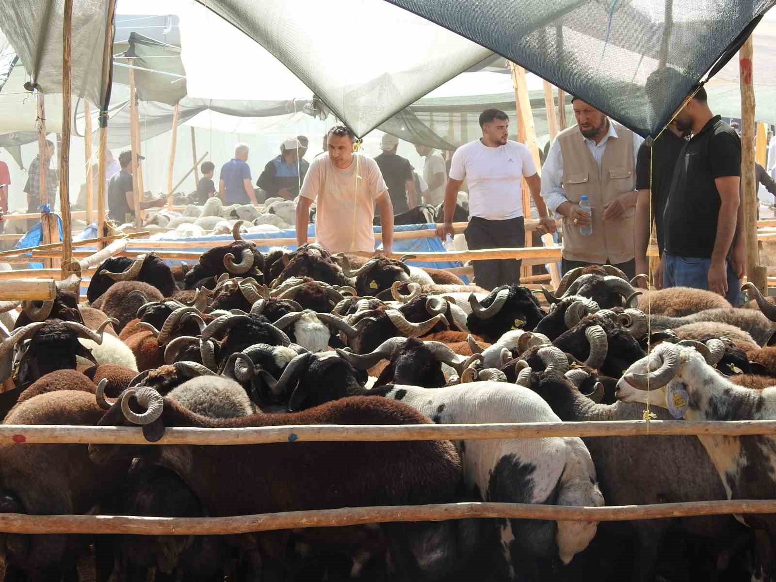 Kurban Bayramı’nın ilk günü hayvan pazarları dolup taştı