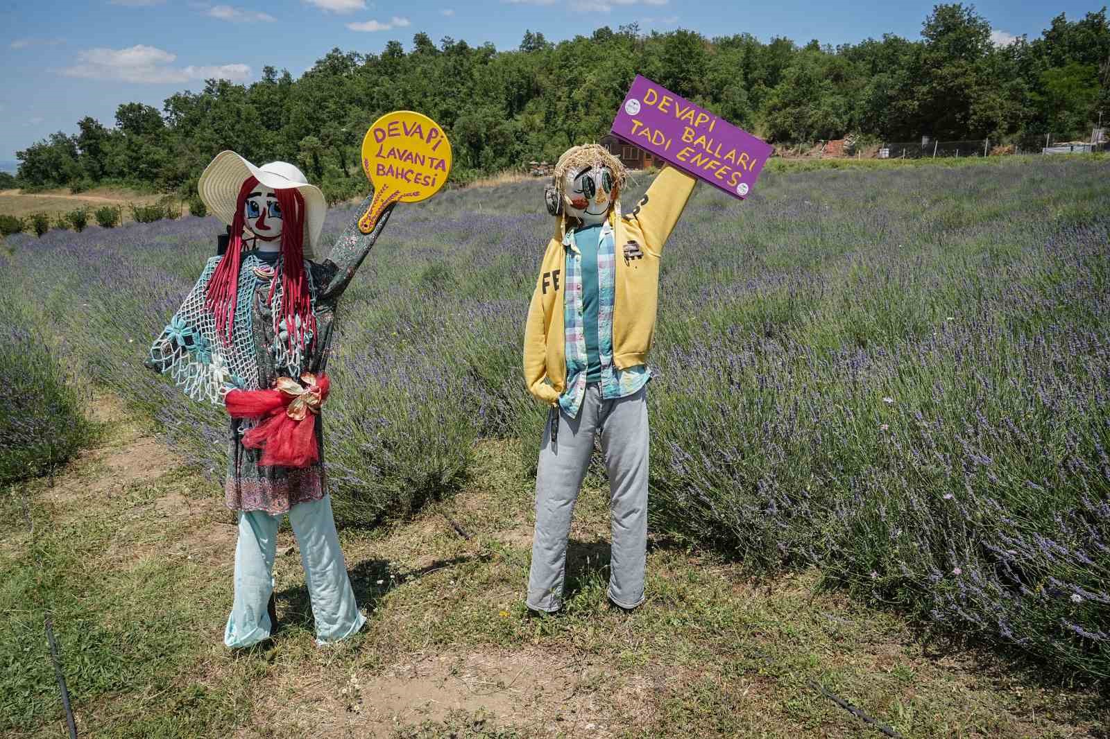 Doktorun tıbbi aromatik bahçesine yoğun ilgi