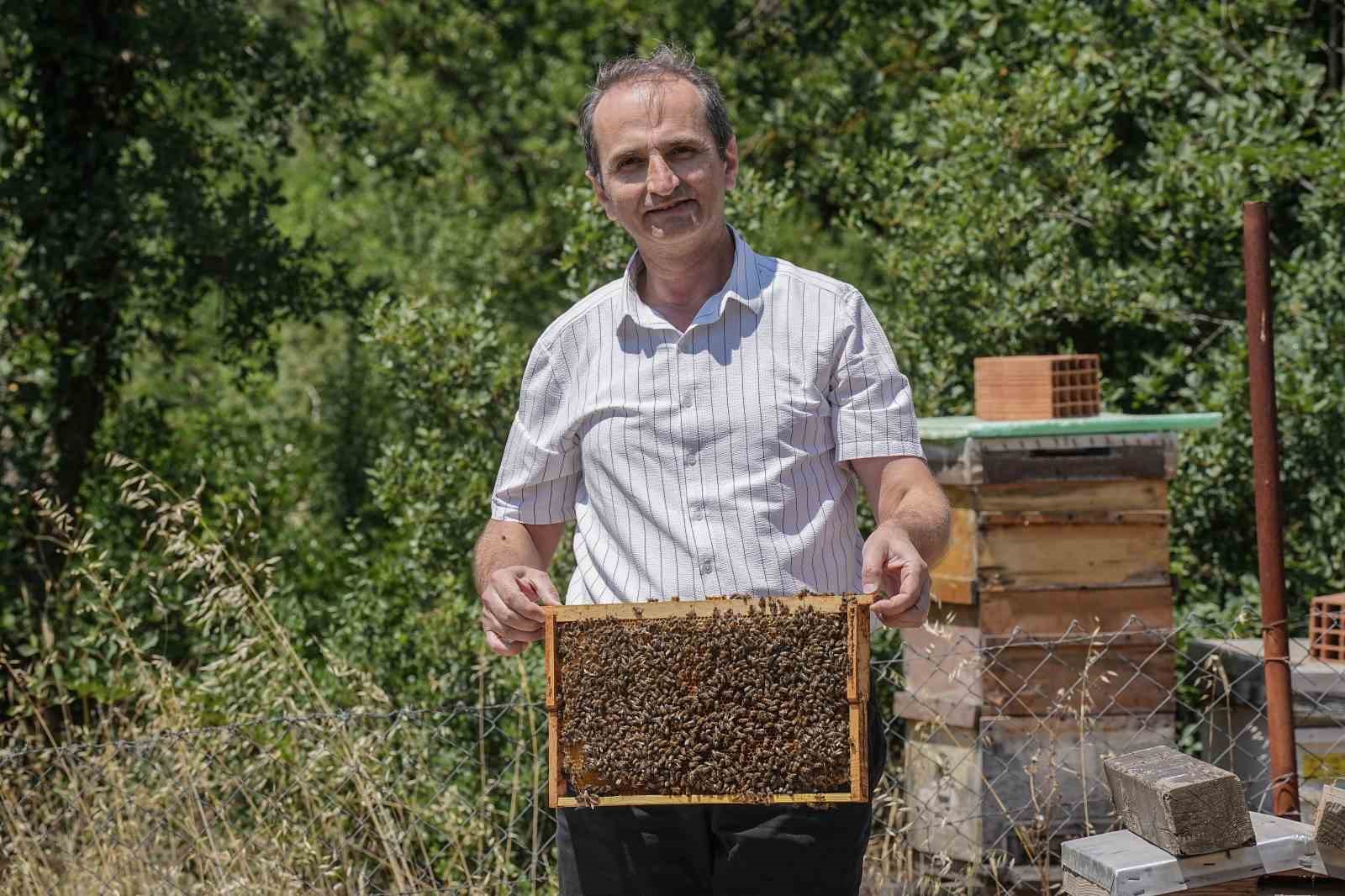 Doktorun tıbbi aromatik bahçesine yoğun ilgi