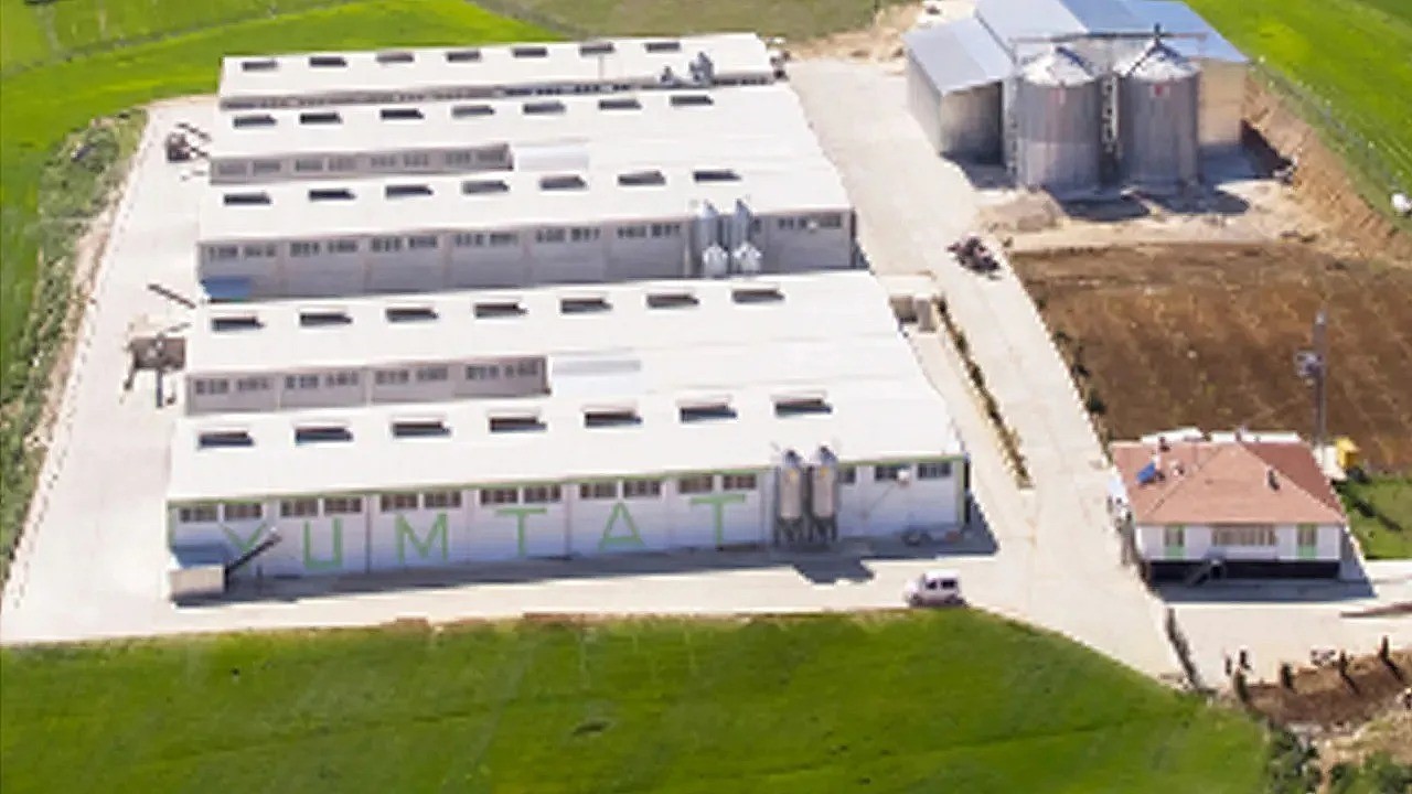 (Düzeltme) Afyonkarahisar’daki yumurta firmasına, FETÖ soruşturması kapsamında kayyum atandı