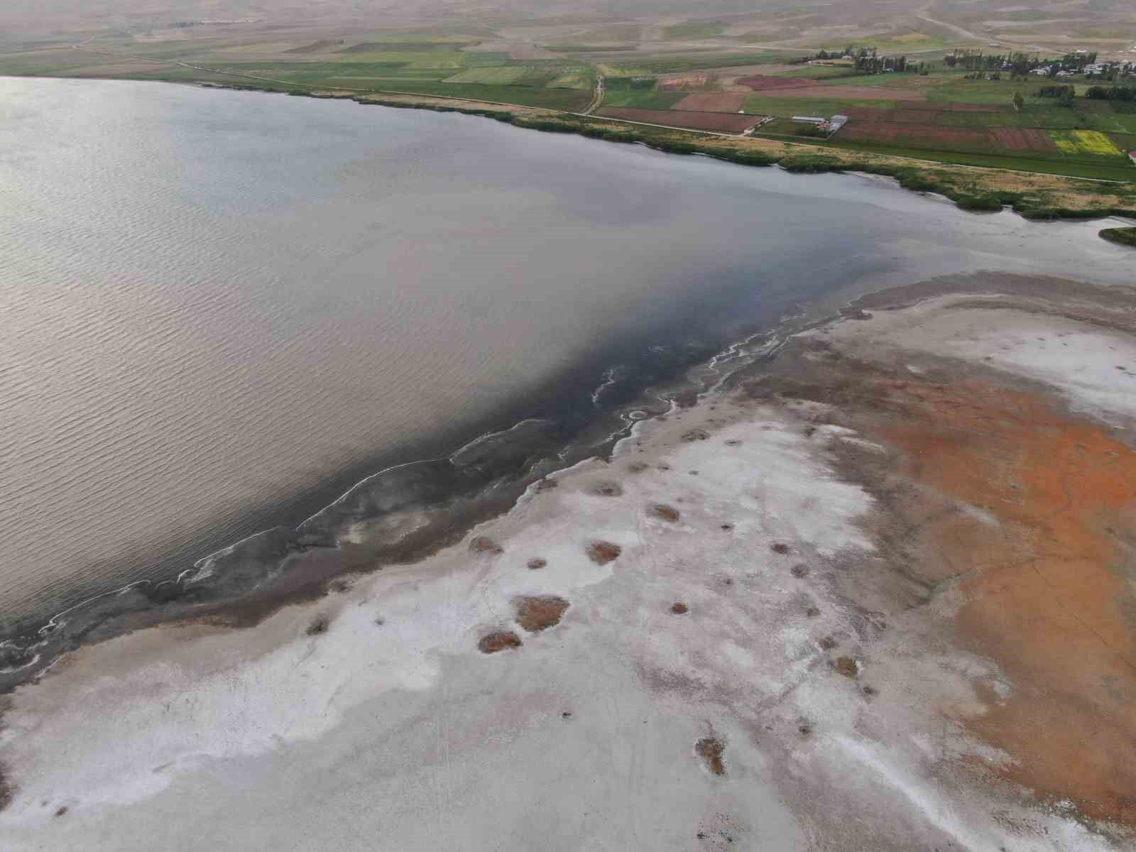 Erçek Gölü’nün kıyıları kuruyor: Uzmanlar uyarıyor