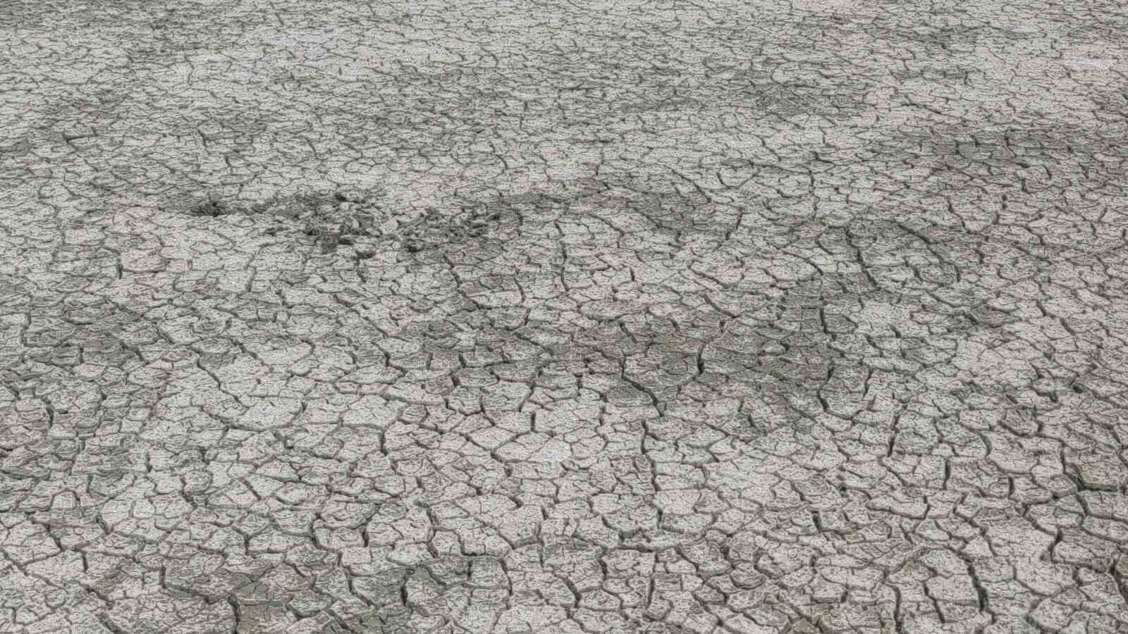 Erçek Gölü’nün kıyıları kuruyor: Uzmanlar uyarıyor