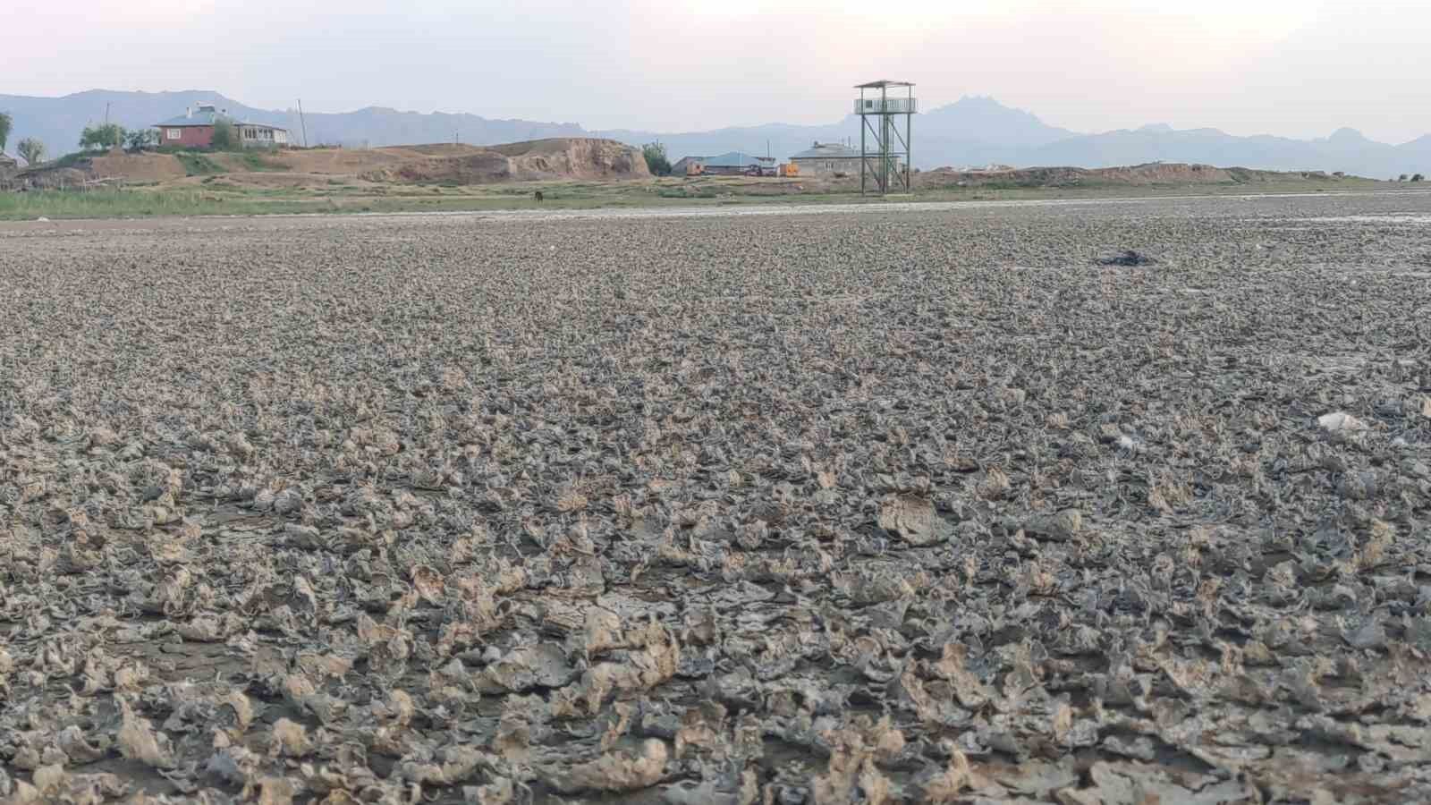 Erçek Gölü’nün kıyıları kuruyor: Uzmanlar uyarıyor