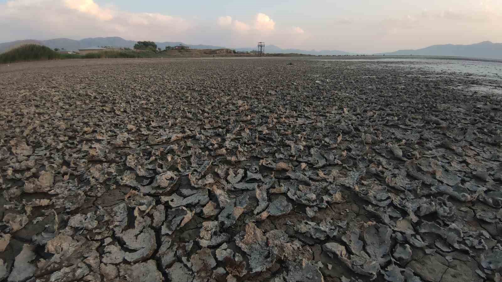 Erçek Gölü’nün kıyıları kuruyor: Uzmanlar uyarıyor
