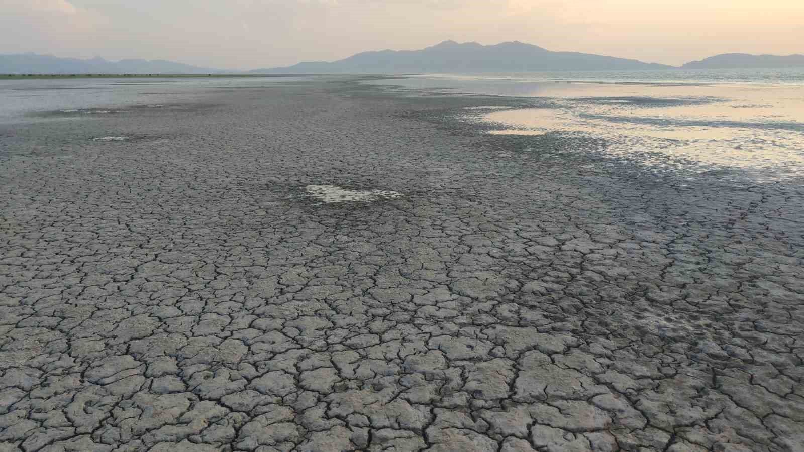Erçek Gölü’nün kıyıları kuruyor: Uzmanlar uyarıyor