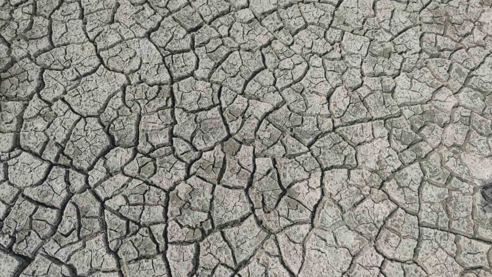 Erçek Gölü’nün kıyıları kuruyor: Uzmanlar uyarıyor