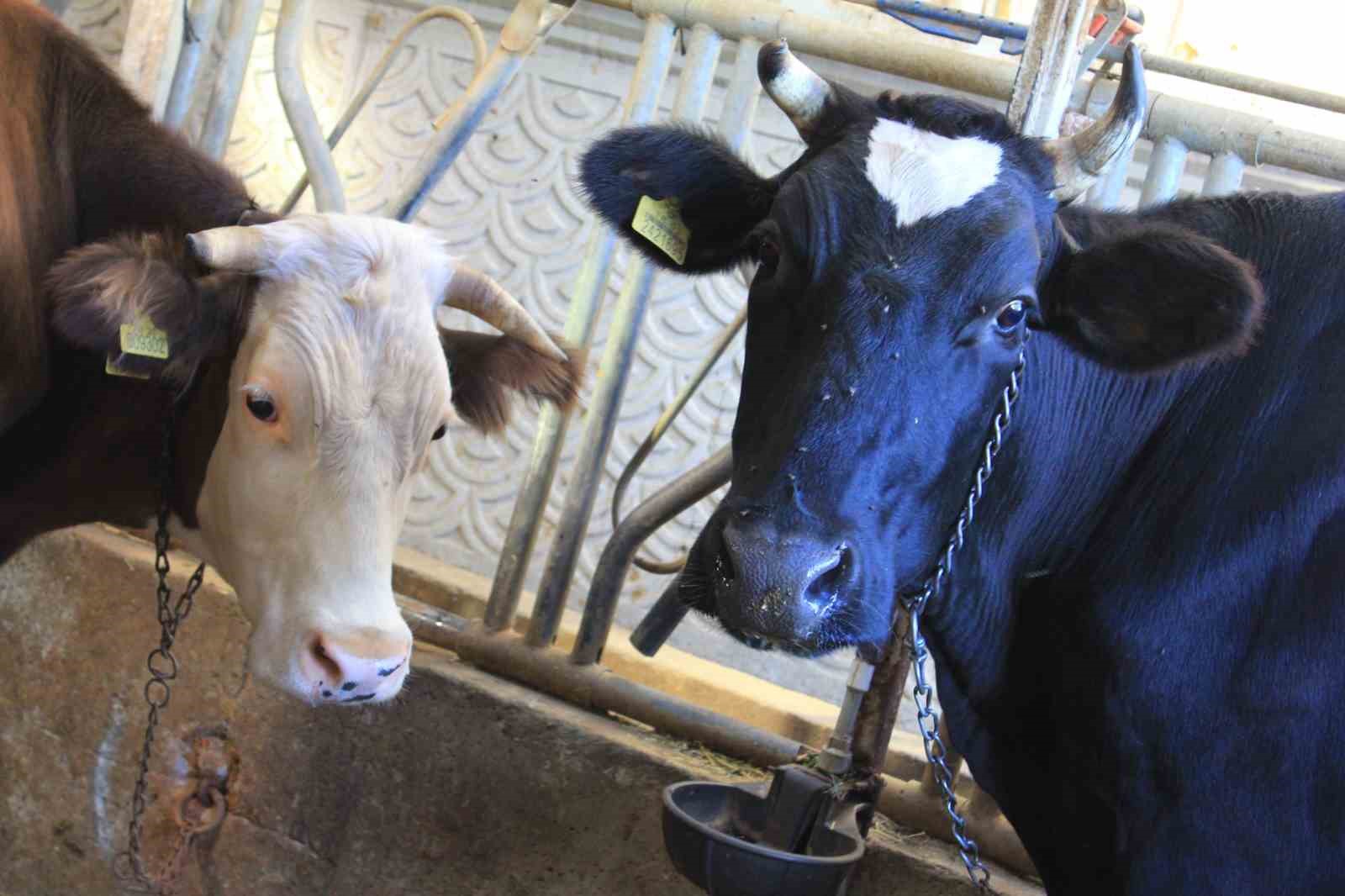 Tarım ve Orman Bakanı Yardımcısı Gümen’den TARPOL’un 