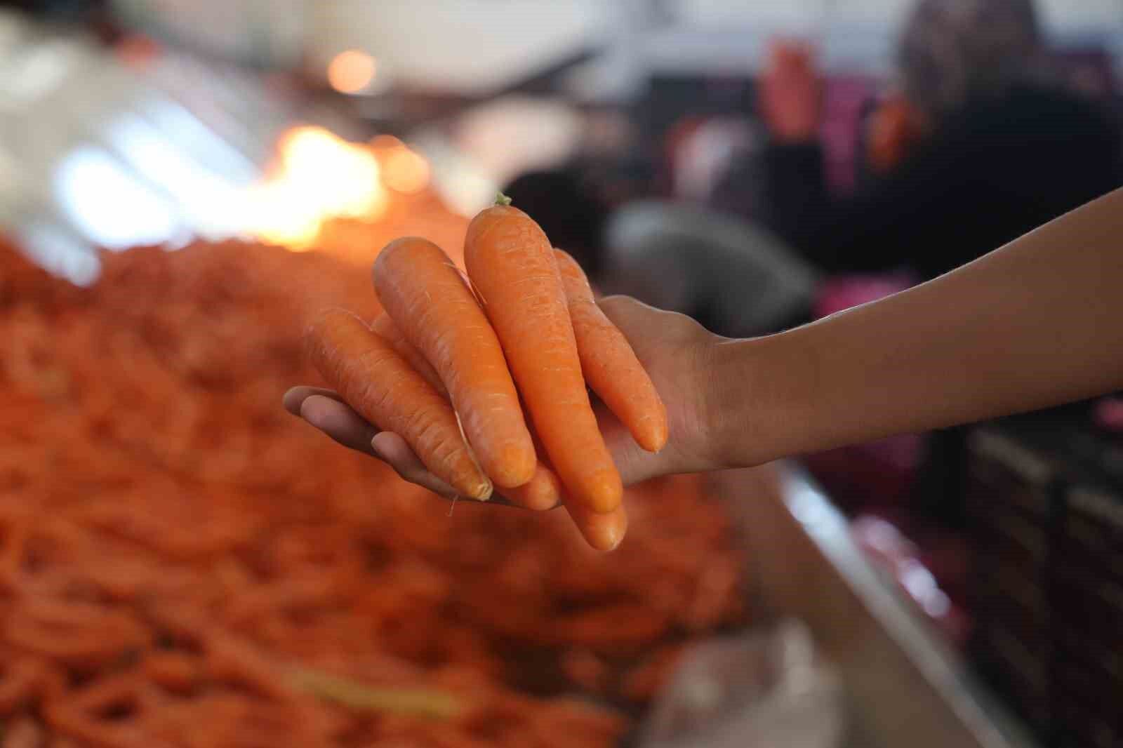 Tarladan sofraya havuç kadınların ellerinden geliyor