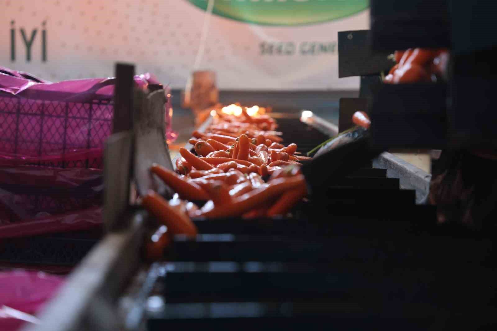 Tarladan sofraya havuç kadınların ellerinden geliyor