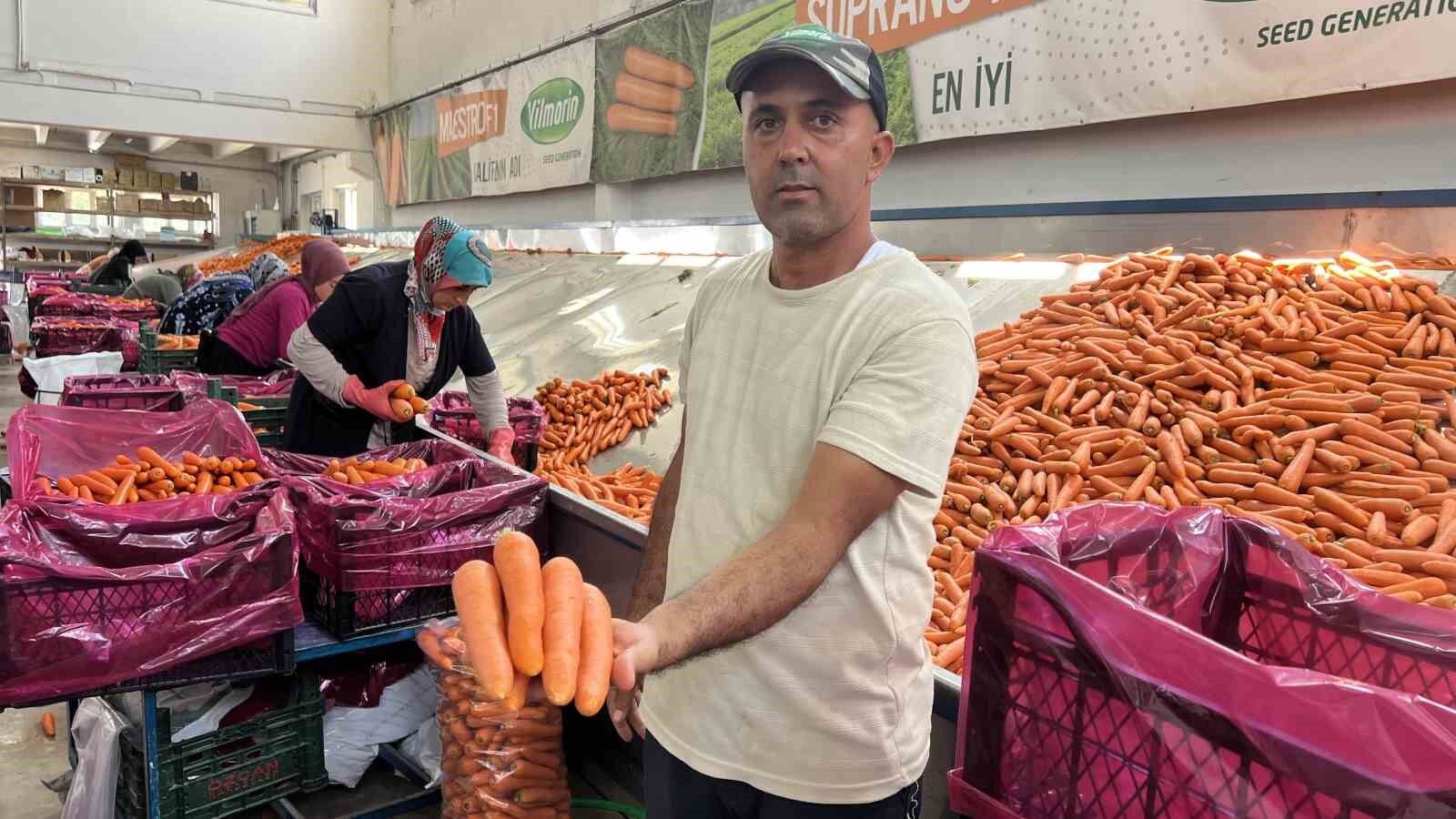 Tarladan sofraya havuç kadınların ellerinden geliyor