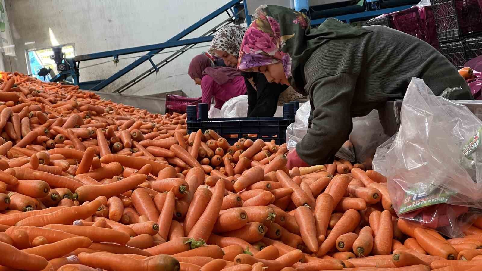 Tarladan sofraya havuç kadınların ellerinden geliyor