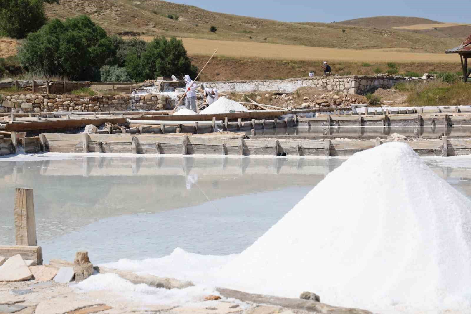 Beyaz altın hasadı başladı