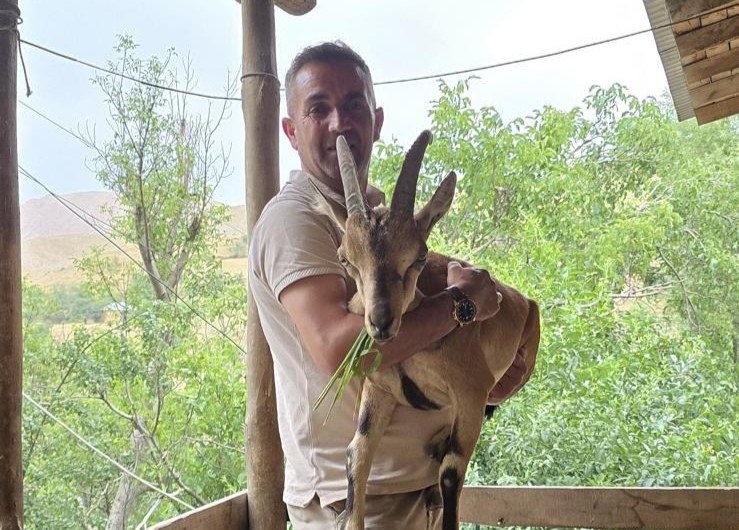 Bahçesaray’da bitkin dağ keçisine şefkat eli