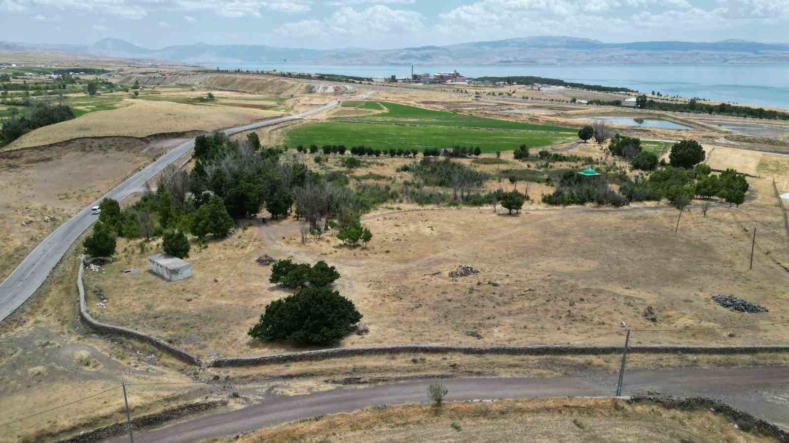 Asırlık dut ağaçları zamana meydan okuyor
