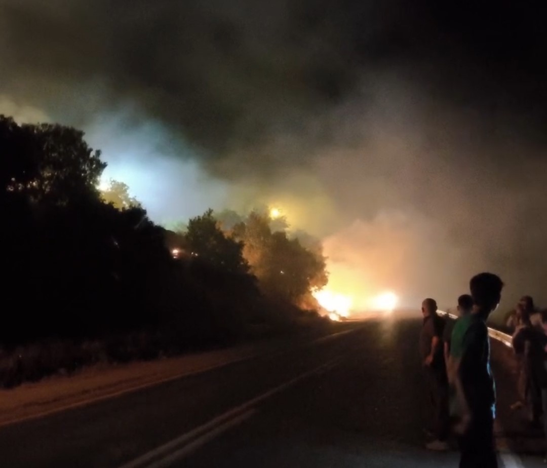 Hakkari-Çukurca karayolu üzerinde orman yangını çıktı