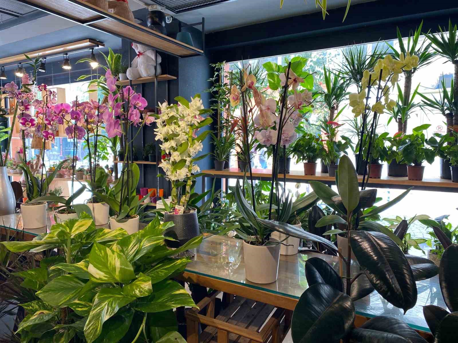 Yaz mevsiminde çiçek bakımının püf noktaları