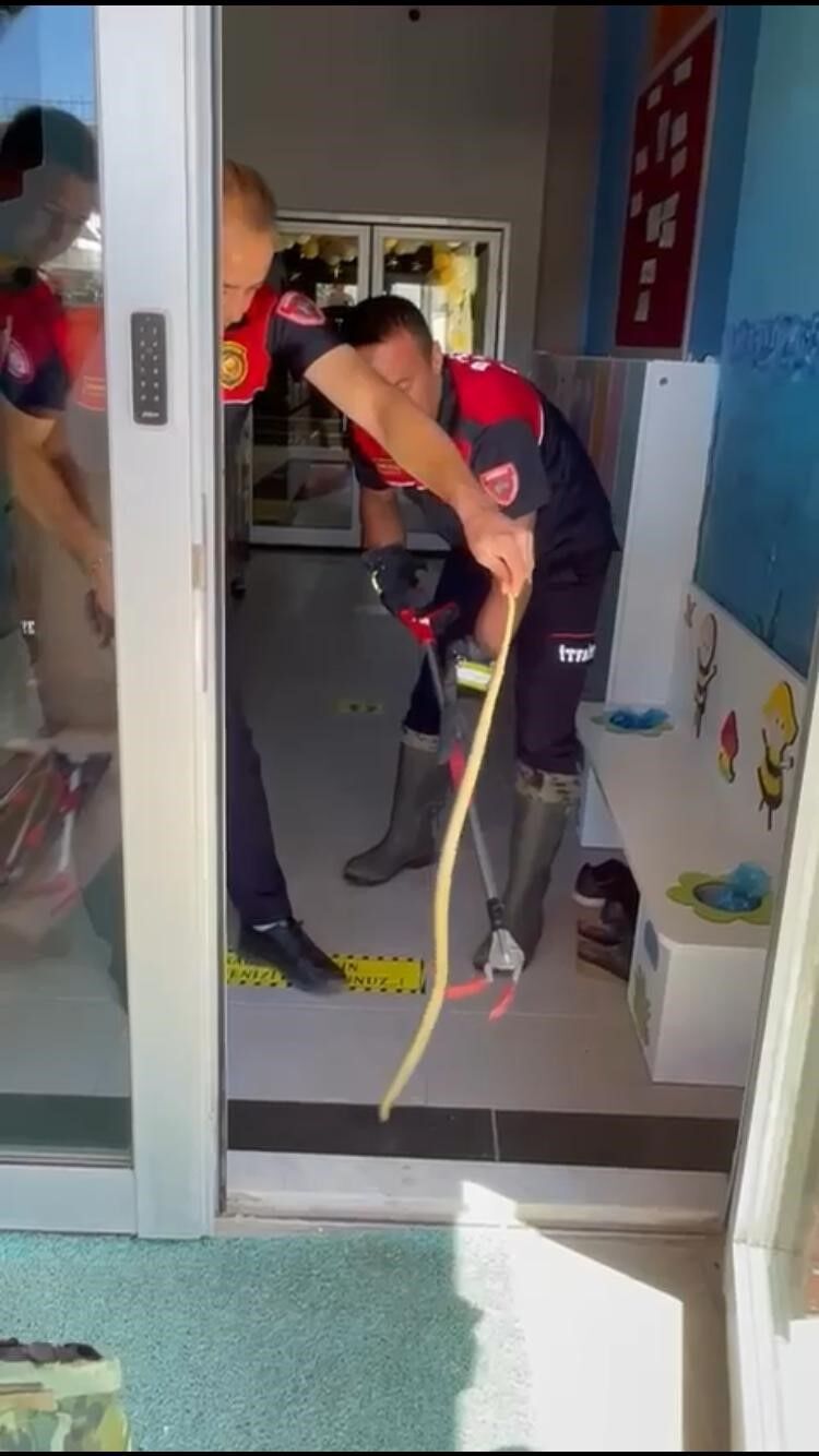 Ayakkabılıktan çıkan yılan paniğe neden oldu