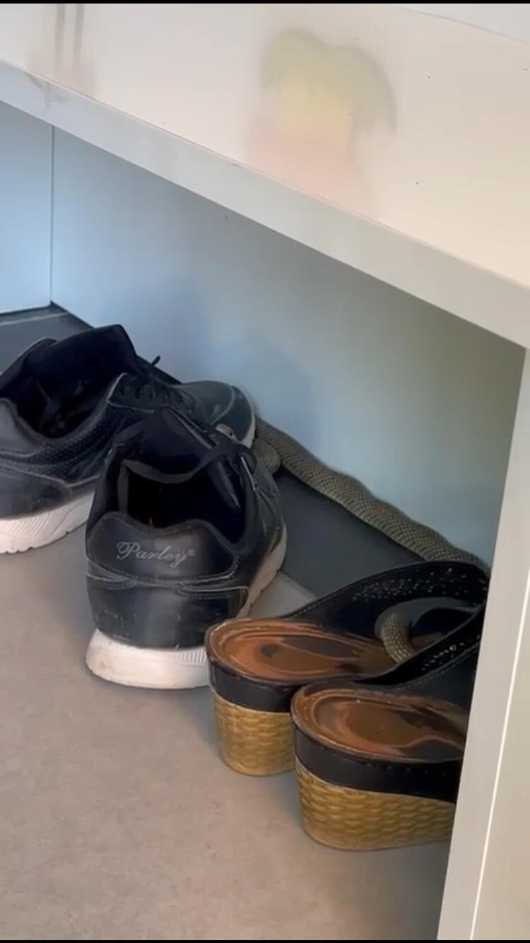 Ayakkabılıktan çıkan yılan paniğe neden oldu