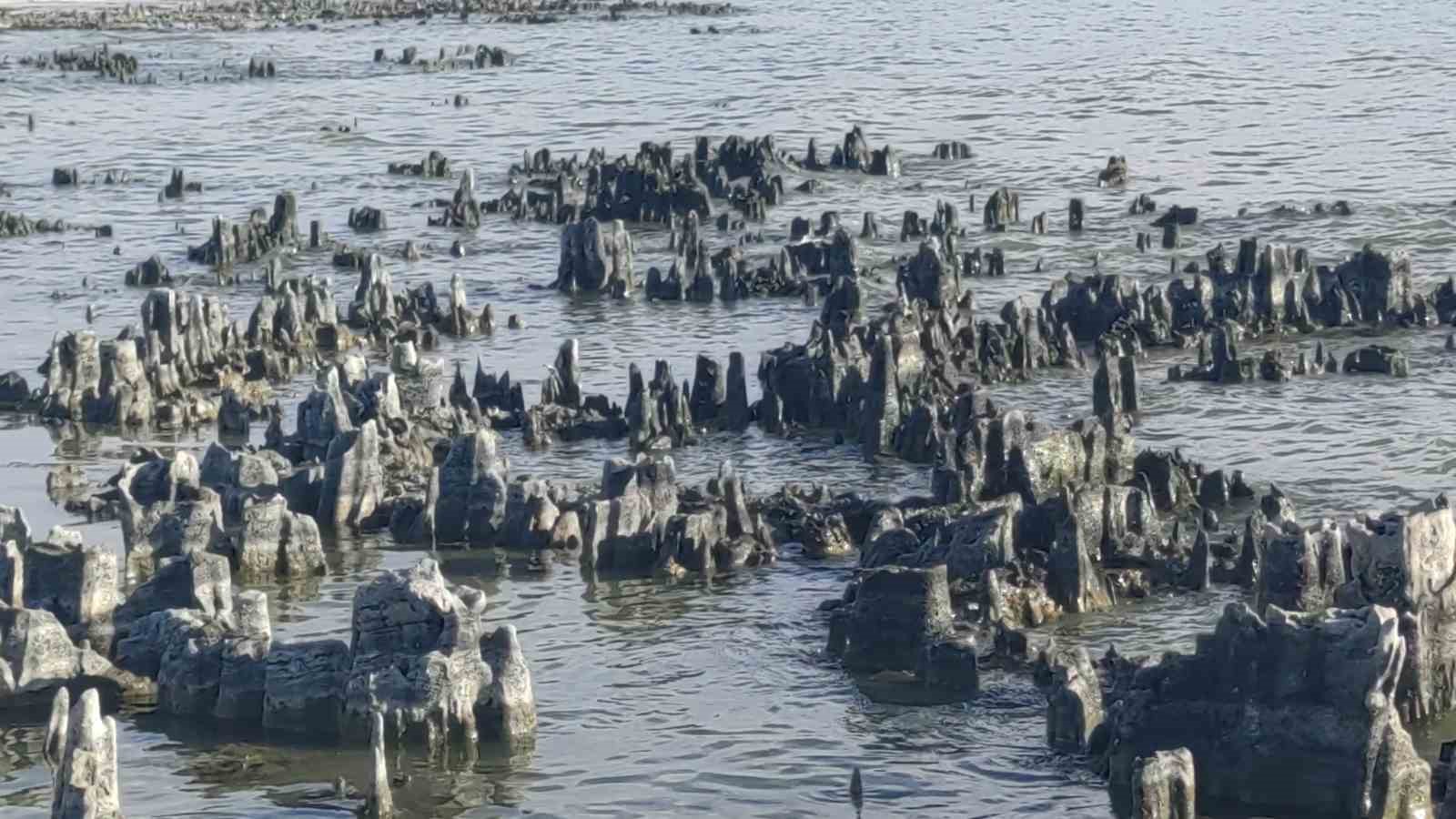 Van Gölü su kaybetmeye devam ediyor