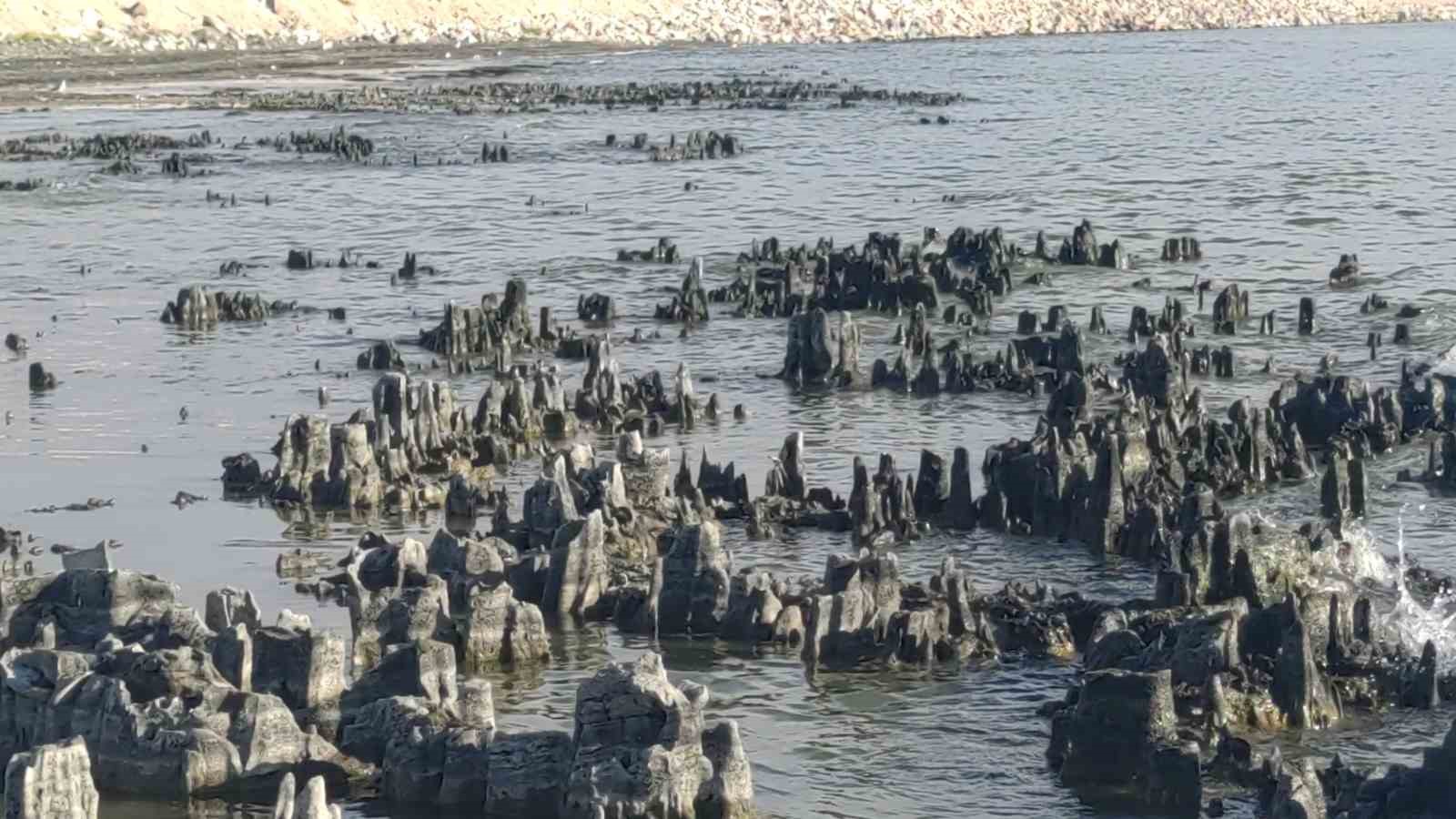 Van Gölü su kaybetmeye devam ediyor