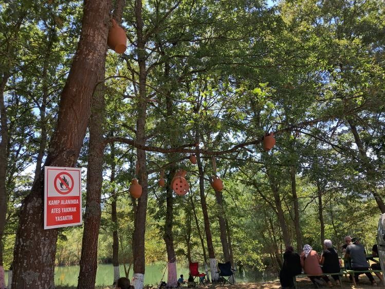 Ağaçlar, çaput yerine çömlekle süslendi