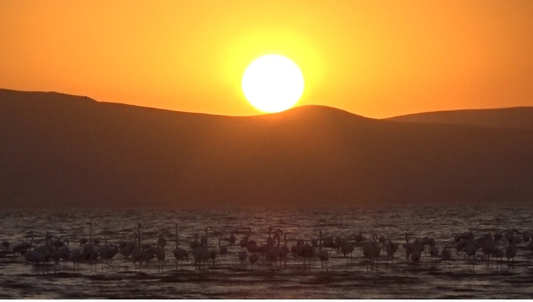 Erçek Gölü’nde kızıllığa bürünmüş gün batımı büyüledi
