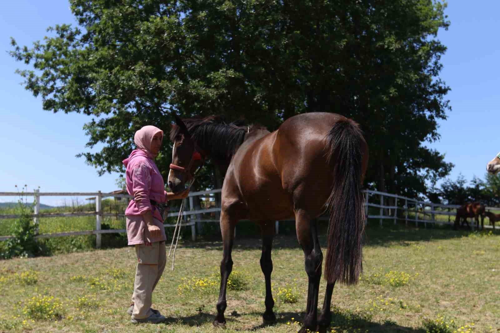 Genetik kodları milyon ediyor