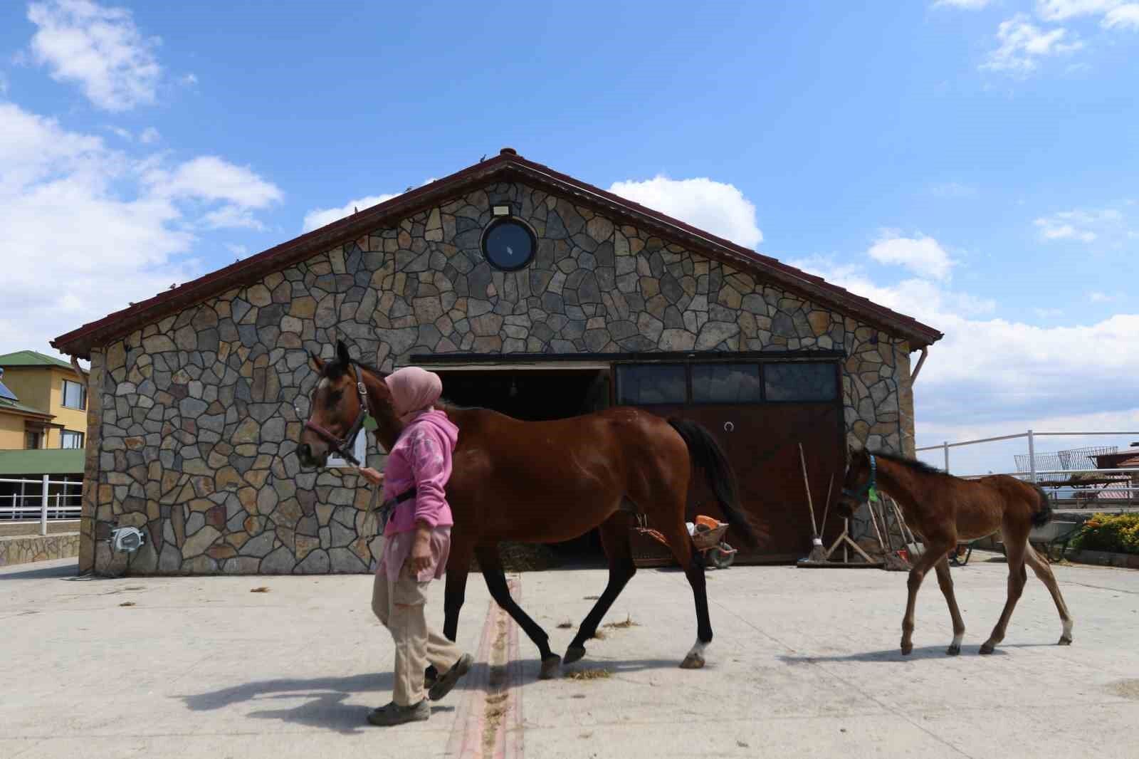 Genetik kodları milyon ediyor