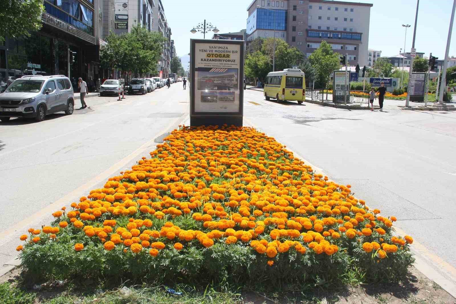 Van’daki cadde ve kavşaklar çiçek açtı