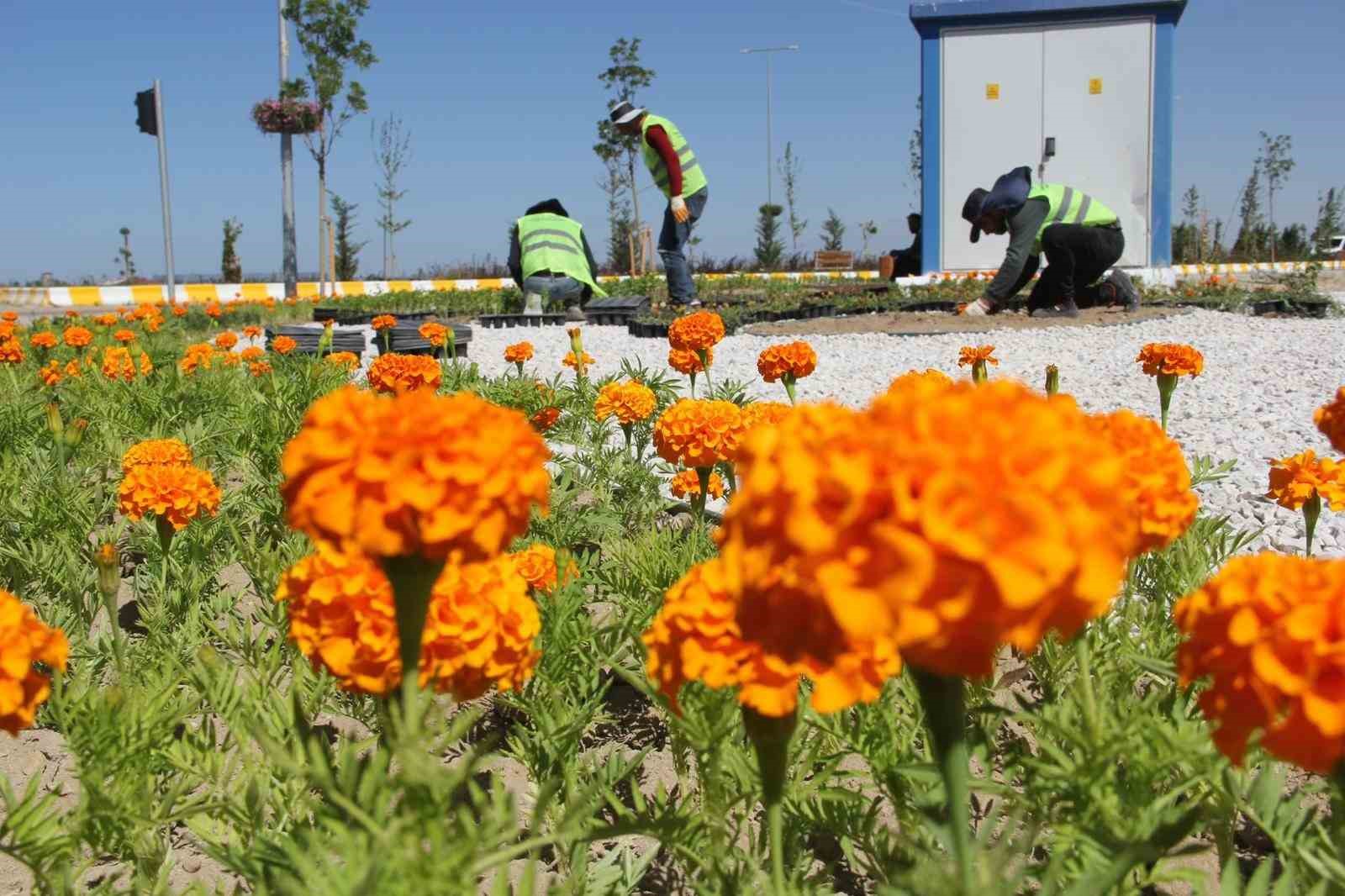 Van’daki cadde ve kavşaklar çiçek açtı