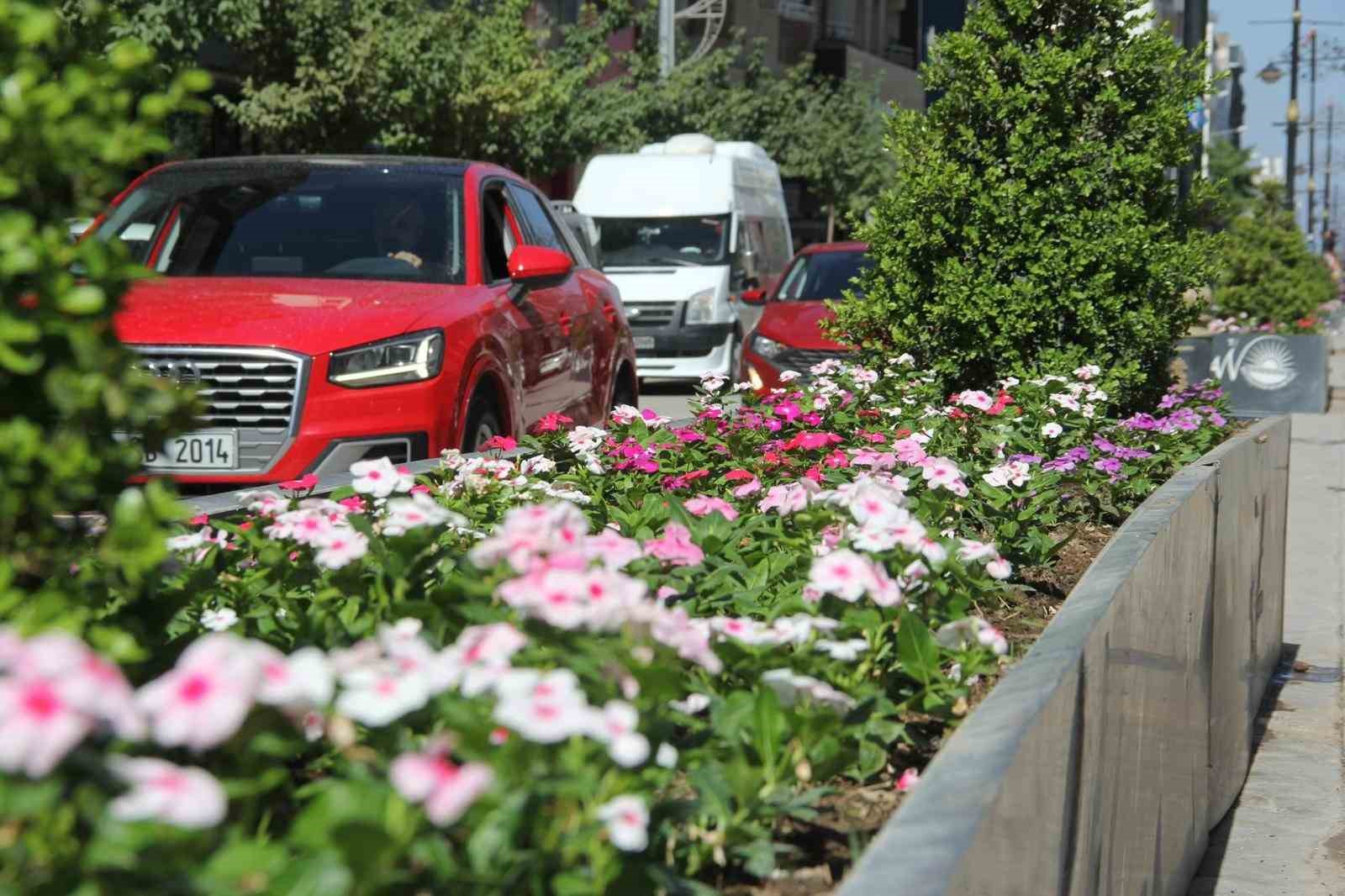 Van’daki cadde ve kavşaklar çiçek açtı
