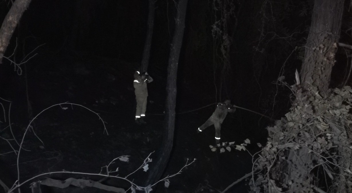 Alanya’da orman yangınında 3 hektarlık alan zarar gördü