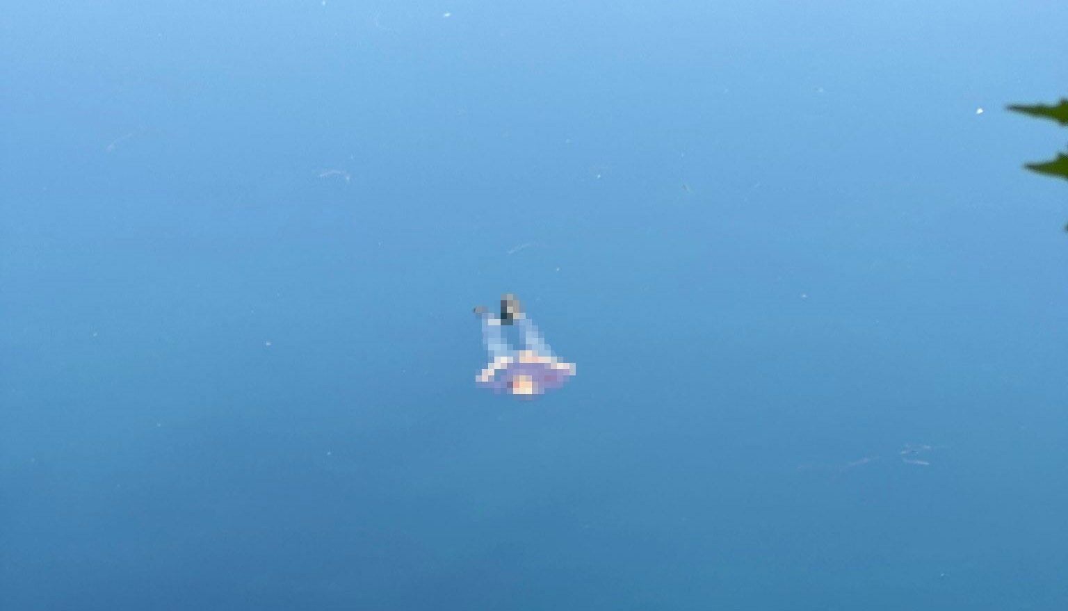 Fırat Nehri’nde sürüklenen ceset ekipleri harekete geçirdi