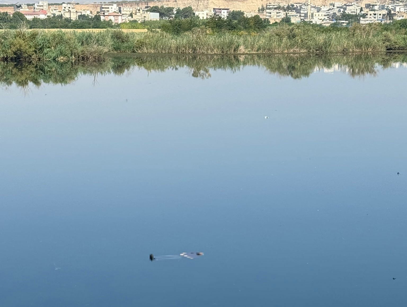 Fırat Nehri’nde sürüklenen ceset ekipleri harekete geçirdi