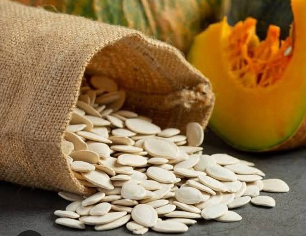 Kabak üreticileri, yağış olmadığı için dertli